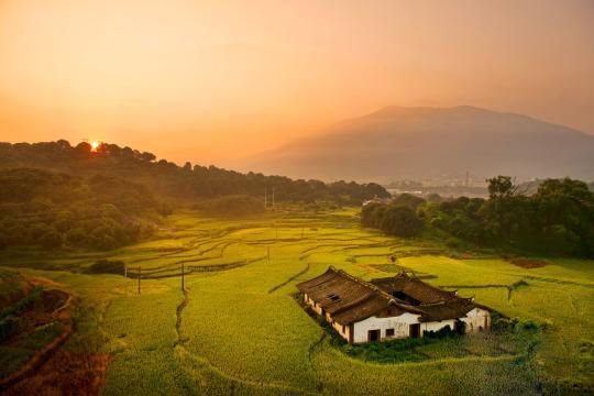 岵山镇茂霞村图片