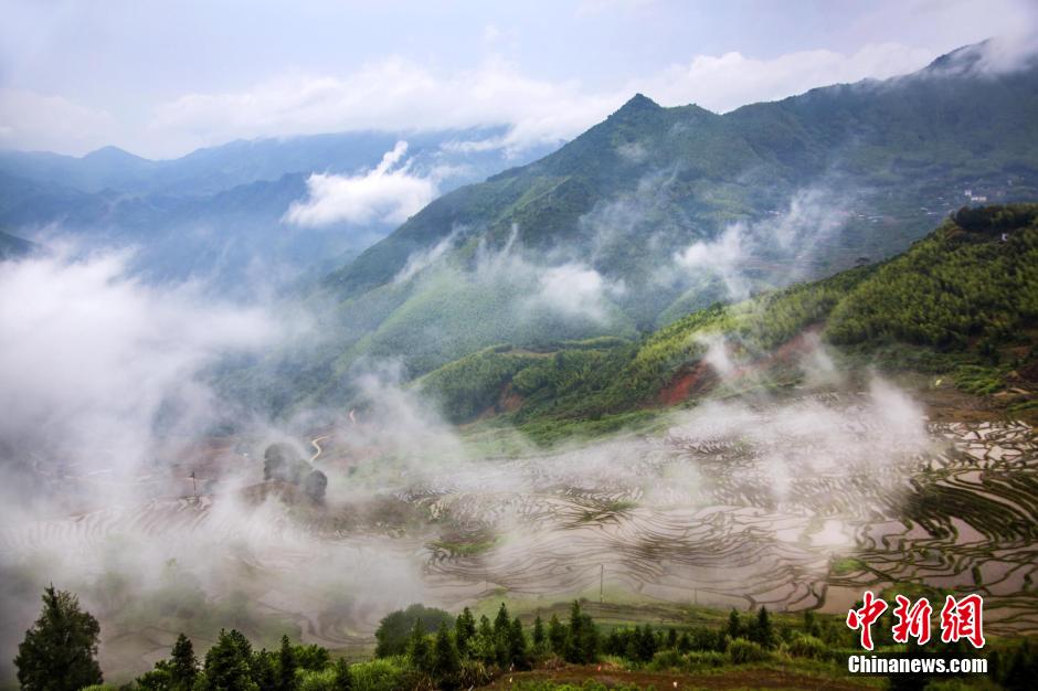 福建尤溪联合梯田云雾飘渺宛如仙境（组图）